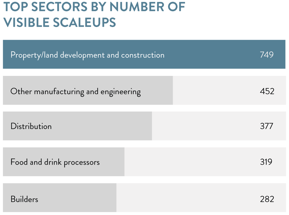 Top sectors by number of visible scaleup