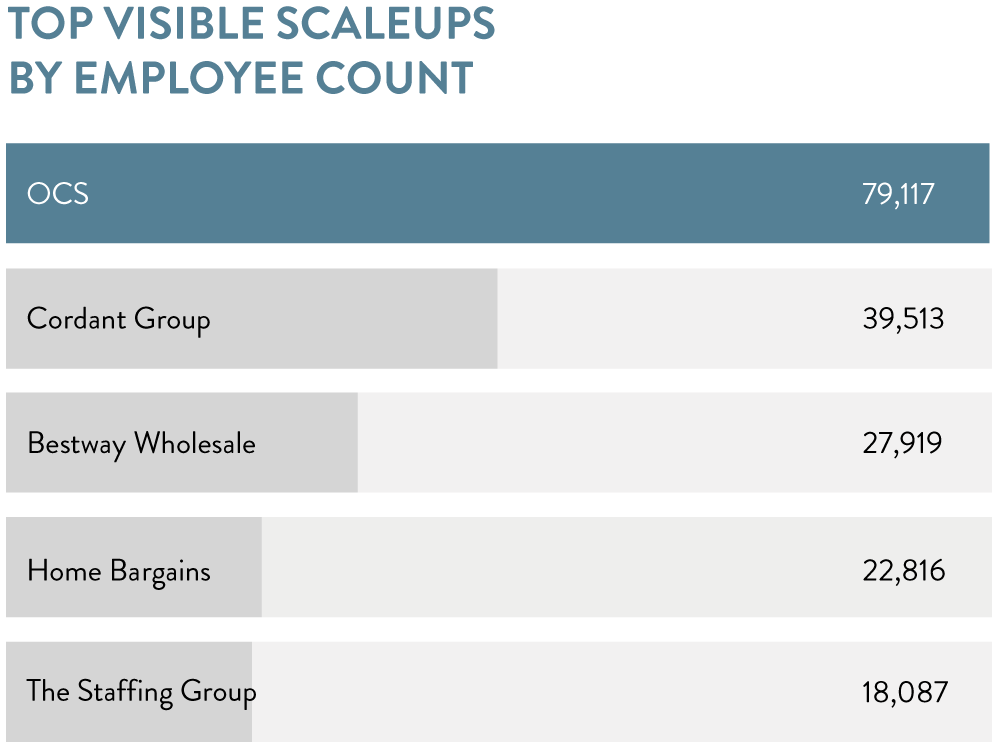 Top visible scaleups by employee count