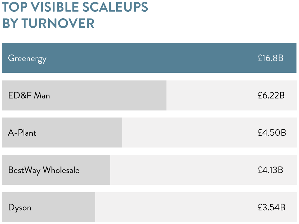 Top visible scaleups by turnover