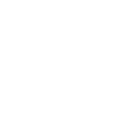 Professional services Professional services